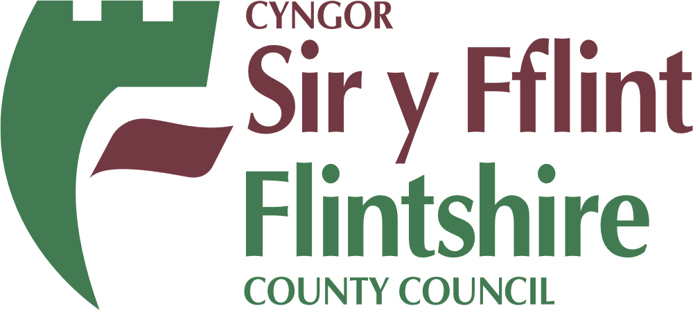 flintshire-county council